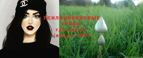 PSILOCYBIN Мегион