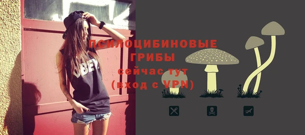 не бодяженный Магас